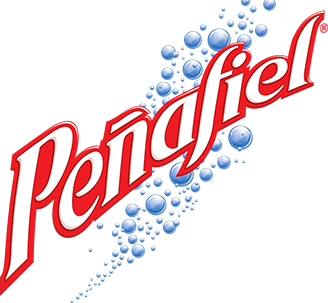 Peñafiel_logo